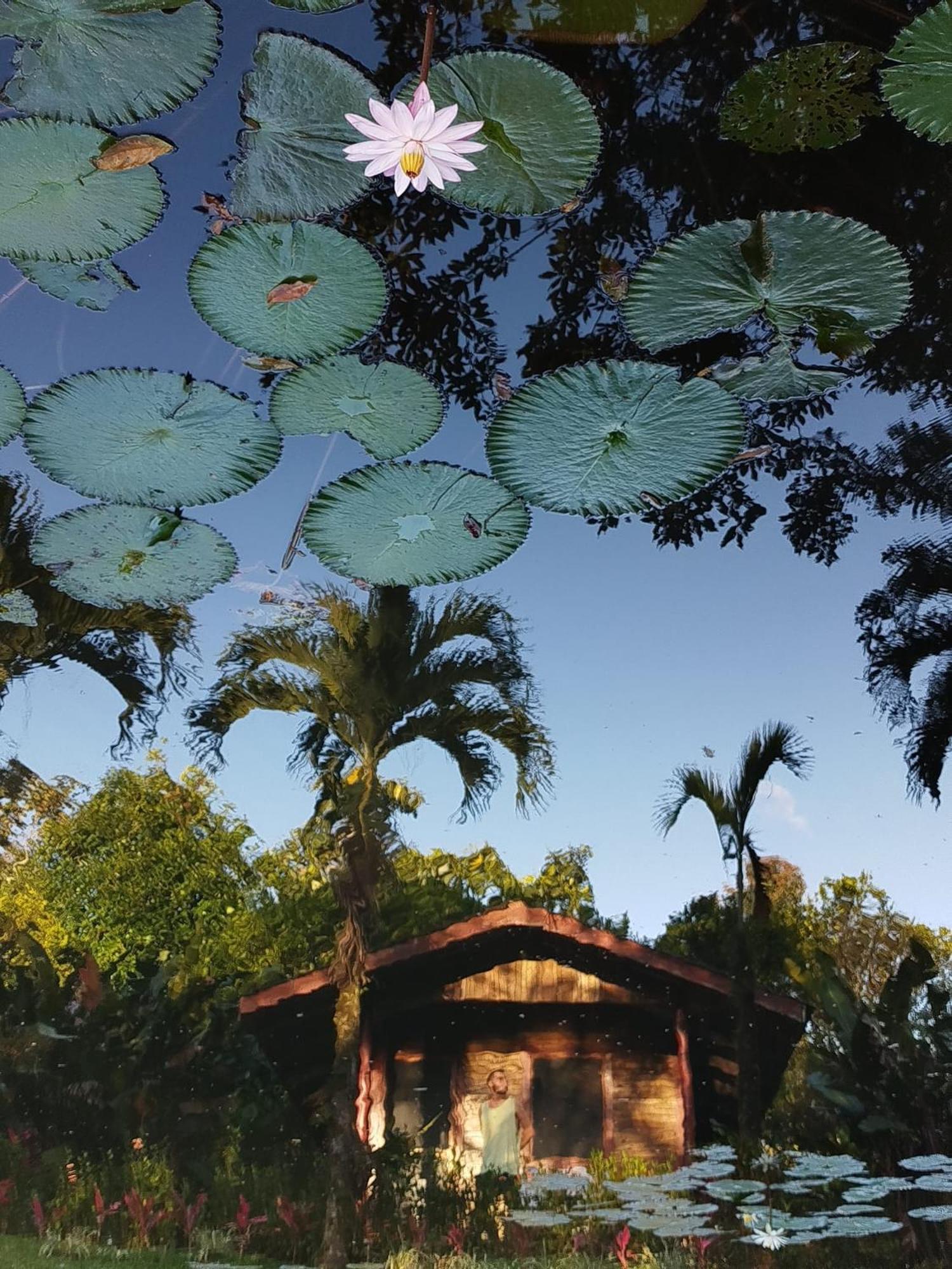 Rincon Verde Bijagua Exterior photo